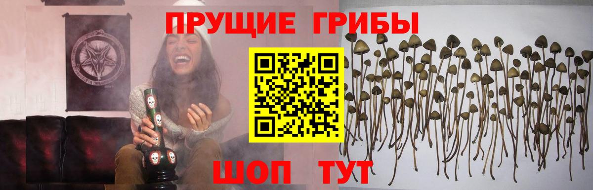 Галлюциногенные грибы MAGIC MUSHROOMS Белебей
